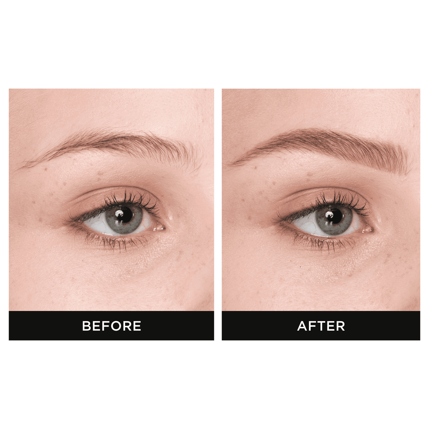 EYEBROW QUEEN BEAUTY QUEEN