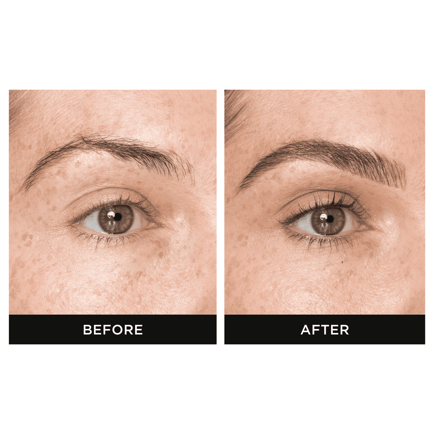 EBQ BROW PRO