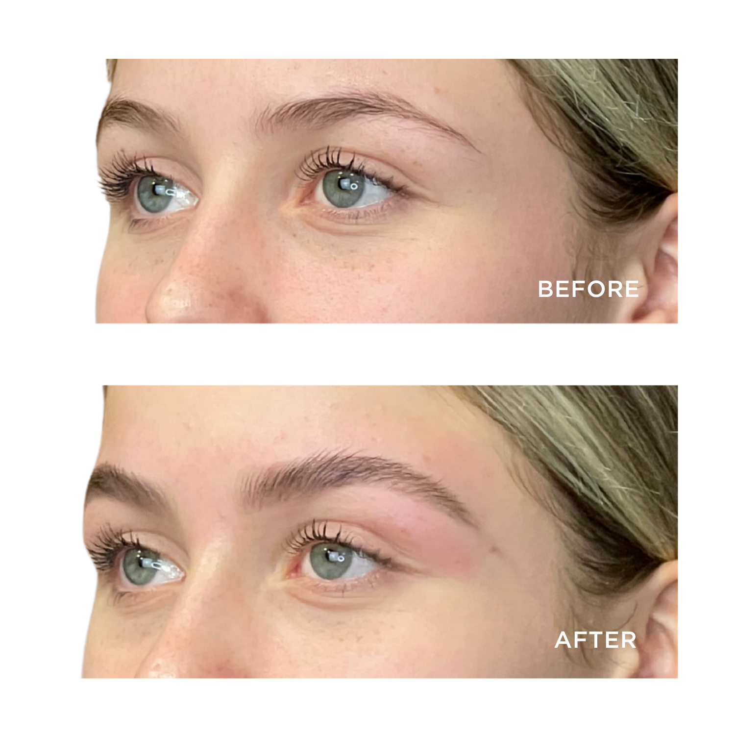 EBQ BROW PRO