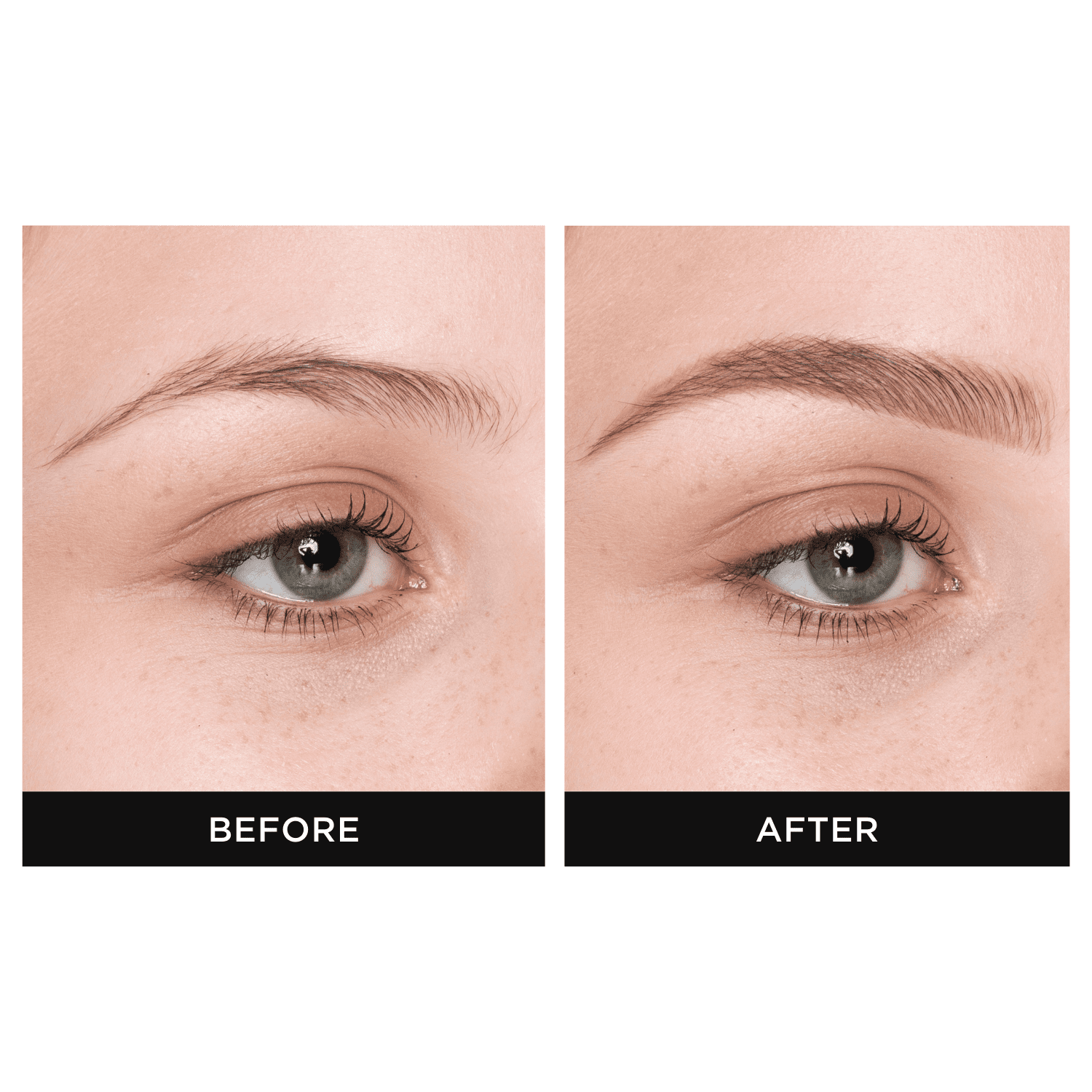 BROW PALETTE